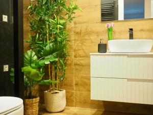 a bathroom with a sink and some plants at Apartamento en Bilbao in Bilbao