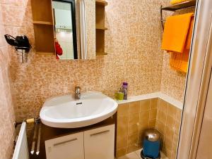 Kúpeľňa v ubytovaní Haus Löger Apartments Pyhrn Priel