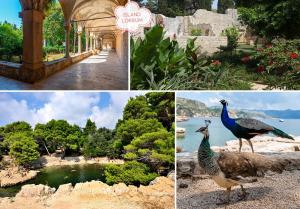 a collage of photos with a turkey and a garden at Dubrovnik house - Leni in Komolac