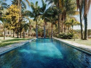 a swimming pool with palm trees in the background at The Peech Boutique Hotel Zimbabwe in Kingsmead