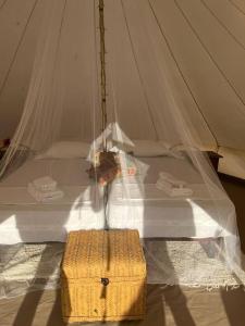 uma cama numa tenda com um cesto à frente em CÁDIZ -TIPI en Chiclana de la frontera, España em Chiclana de la Frontera