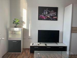 Μια τηλεόραση ή/και κέντρο ψυχαγωγίας στο Apartments Malivojevič