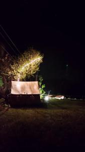a tree with lights on it at night at Shakoon Camps & Farmstay Nainital in Nainital