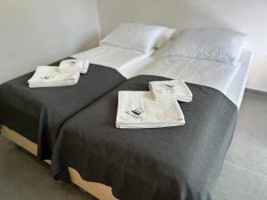 two twin beds in a room with towels on them at Villa Magdalena apartments & rooms in Maribor