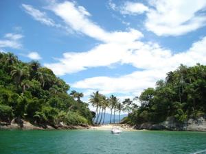 a boat in the water on a beach with palm trees at Pousada Vó Irene in Itacuruçá