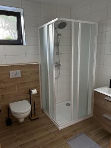 新比斯特日采的住宿－Apartmány v soukromí pod Javorem，带淋浴和卫生间的浴室