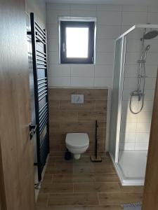 y baño con aseo, ventana y ducha. en Apartmány v soukromí pod Javorem, en Nová Bystřice