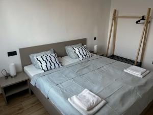 新比斯特日采的住宿－Apartmány v soukromí pod Javorem，一间卧室配有一张大床和两个枕头