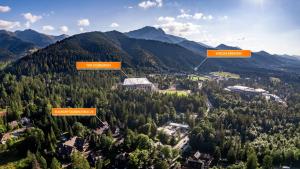 an aerial view of a forest with mountains in the background at Apartamenty Sun & Snow Centrum in Zakopane