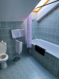 a bathroom with a bath tub and a toilet at Penzion Ariane in Prague