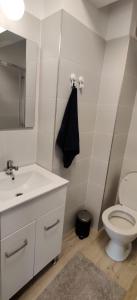 bagno con servizi igienici, lavandino e specchio di Maramures Residence - Otopeni Airport and Therme - Self Check-in a Otopeni