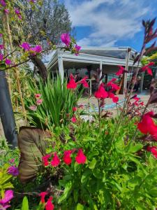 a garden with pink flowers in front of a house at Re Piano appartamento I Fiori in Modigliana