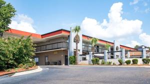 a building with palm trees in front of a street at Quality Inn & Suites Aiken in Aiken