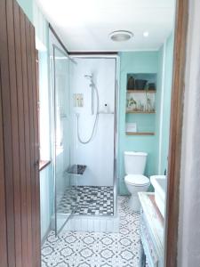 a bathroom with a shower and a toilet at The Retreat in Kommetjie +34 photos