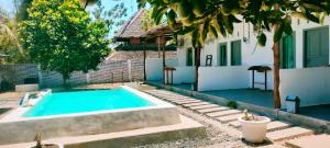 a swimming pool in a yard next to a house at Scar Reef Homestay in Jereweh
