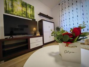 una sala de estar con TV y un jarrón de flores en Villa Sabina, en Fužine