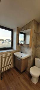 a bathroom with a sink and a toilet and a window at Noclegi w Dawnej Łaźni in Żarki