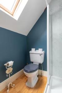 ein Bad mit einem WC und einer blauen Wand in der Unterkunft Ballinasloe in the Heart of the Country in Galway