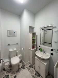 a white bathroom with a toilet and a sink at Stylish Flat With River View in Dublin