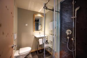 a bathroom with a shower and a toilet and a sink at Seehof Reduit in Davos