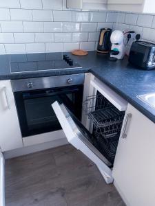 una cocina con horno y estante para platos. en MODERN 1 BEDROOM FLAT IN WOOD GREEN en Londres