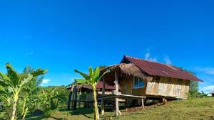 une maison sur une colline avec un palmier dans l'établissement ไร่นิธิสุนทร nithisoonthon farmstay, à Mae Hong Son