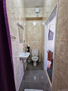 een badkamer met een toilet en een wastafel bij Portsmouth Budget Hotels - All rooms are EN-SUITE in Portsmouth