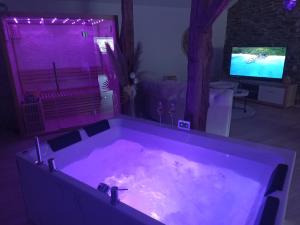 a large bath tub in a living room with a tv at Loft blanc (baignoire balnéo et sauna) in Trois-Ponts +5 photos
