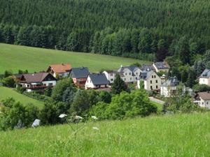Oelsnitz的住宿－Ferienwohnung "Am Vaterlandsgrubenweg"，绿色田野中的小镇,有房子