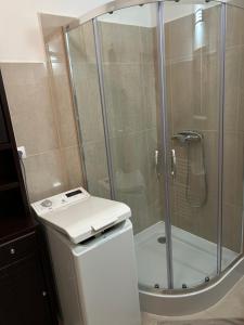 a bathroom with a shower with a toilet and a sink at Kondé Apartments D in Dunajská Streda