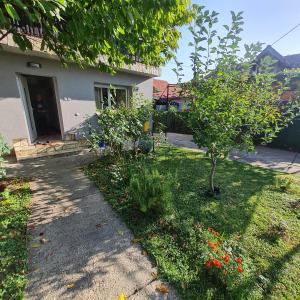 a house with a yard with a tree and a sidewalk at Pepa Zg in Zagreb