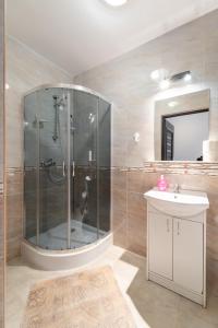 a bathroom with a shower with a sink and a mirror at Tawerna "Cicha Przystań" in Zielona Góra