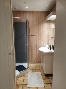 a bathroom with a shower and a toilet and a sink at Håstrups Natur Perle in Fåborg