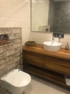 een badkamer met een wastafel, een toilet en een spiegel bij Hotel Sunshine Dharamshala in Dharamshala