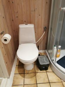 a small bathroom with a toilet and a shower at Håstrups Natur Perle in Fåborg