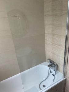 a bath tub with a shower with a sink at A Lovely 1 Bedroom Flat / Modern-Cosy in London