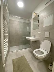 a bathroom with a shower and a toilet and a sink at Vienna´s Danube Apartments in Vienna