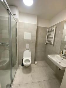 La salle de bains est pourvue de toilettes, d'un lavabo et d'une douche. dans l'établissement Vienna´s Danube Apartments, à Vienne