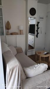 クリェラにあるApartament CullerAのソファとテレビのあるリビングルーム