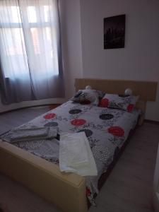 Fotografie z fotogalerie ubytování Andrina Sweet Home v destinaci Niš