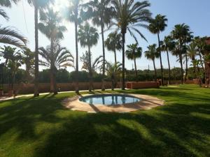 un parc avec des palmiers et un petit étang dans l'établissement Apartamento Los Moriscos Golf Playa Granada, à Motril
