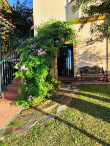 um arbusto de flores em frente a uma casa em Villa María Montecastillo Golf em Jerez de la Frontera