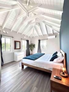 Saint Barthelemy的住宿－Villa des Vents，卧室设有一张带白色天花板的大床