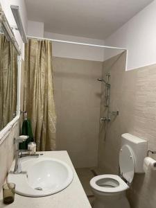 a bathroom with a white toilet and a sink at Casa Elena, Ocna Mureș in Ocna-Mureşului