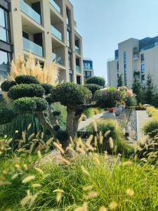 un jardin avec un arbre en face d'un bâtiment dans l'établissement ALLURE VARNA studios, à Saints Constantine et Helena