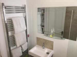 a bathroom with a sink and a mirror and towels at Cedar Shade Cottage Ensuite Private Annexe with Parking in Sidmouth