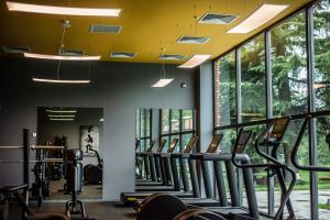 Palestra o centro fitness di Lopota Lake Resort & Spa