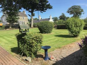 a park with a bench and a bird bath at Gladstone Cottage in Castletown