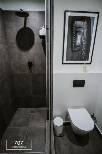 y baño con ducha y aseo. en The Carrington Top Floor Luxury Apartment, en Ciudad del Cabo