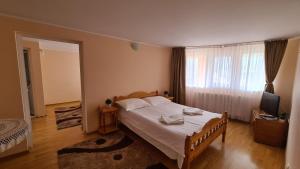 1 dormitorio con 1 cama y TV en Casa Potcoava, en Lepşa